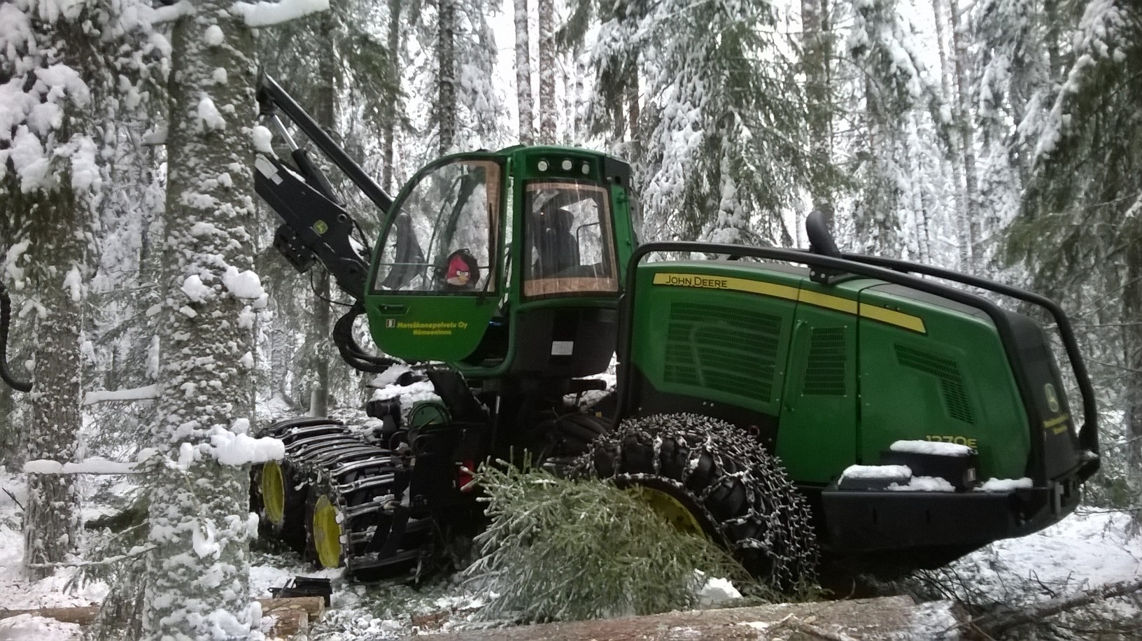 Selective cutting is underway in the Lapinjärvi Gene Reserve Forest to conserve genetic diversity, February 2016. Photo credit: Leena Yrjänä.