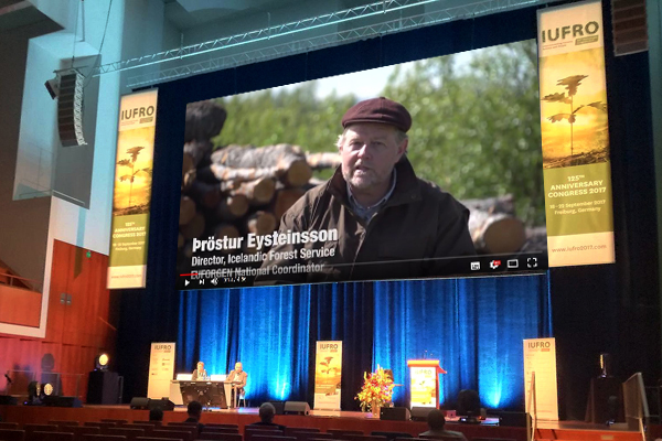 The recently produced EUFORGEN film 'Afforesting Iceland' was screened in two sessions during the IUFRO 125th anniversary Congress in Freiburg.